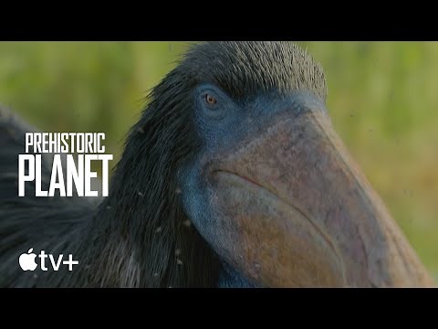 Prehistoric Planet — The Deinocheirus Hunts for the Perfect Back Scratcher | Apple TV