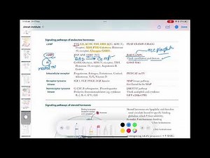 signalling pathways of endocrine hormones #endocrinology 30 | First Aid USMLE Step 1 in Urdu/Hindi |
