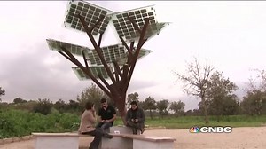 44K views · 896 reactions | Say hello to the tree that ... charges your phone?! | CNBC | Facebook
