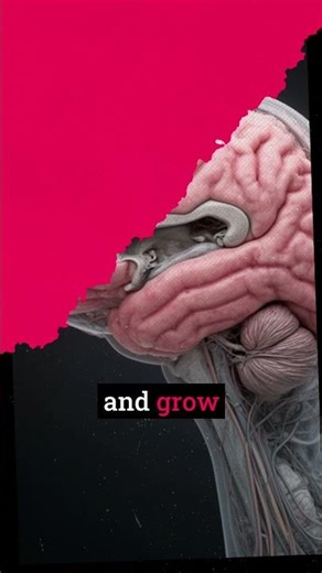 Muscle Does MORE Than Make You Strong #metabolic #hormones