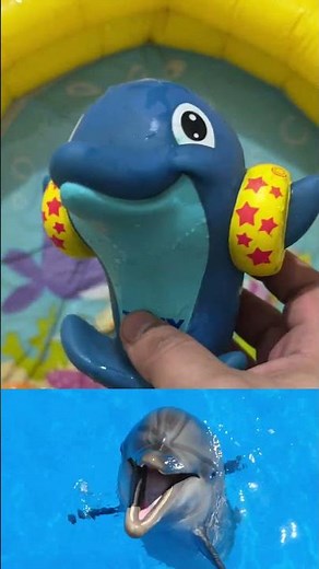 Ocean Animals for Kids: Learn Sea Creatures Names & Fun Facts for Toddlers