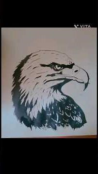 "How to Draw a Falcon's Head: Step-by-Step Tutorial for Beginners"