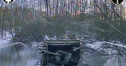 Five occupiers’ guns destroyed in Lyman direction: combat work of SIGNUM battalion. VIDEO