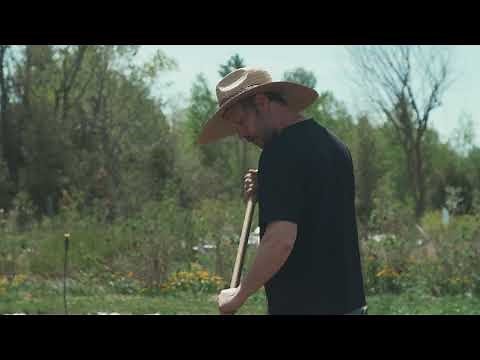 How to use the Stirrup Hoe