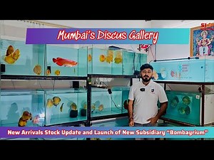 Mumbai Discus Gallery