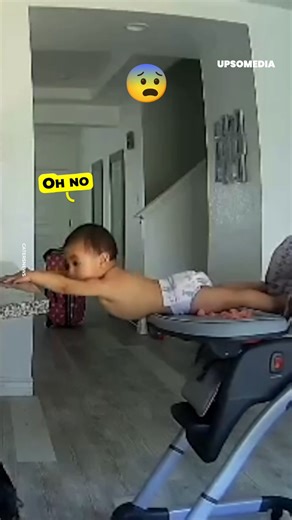 17K views · 71 reactions | He tried to venture out alone and ended up begging for mom 﫣 | Super Mommy | Facebook