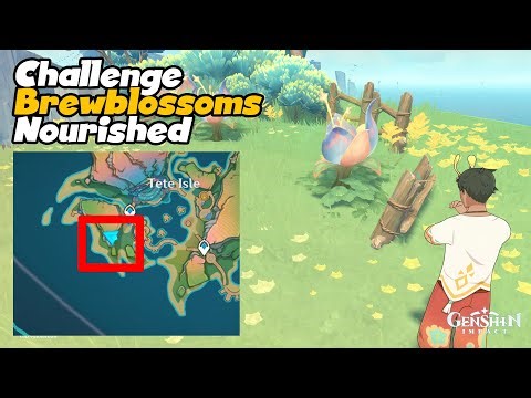 Guide Challenge | Brewblossoms Nourished | Tete Isle NPC Kapak | Natlan 5.8 Genshin Impact