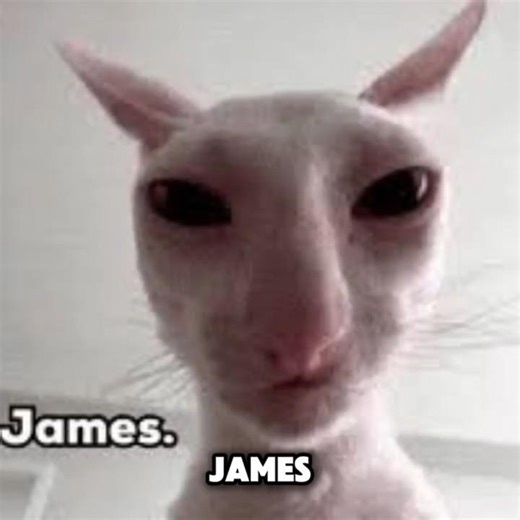 James VS Evil Burger In The Tournament Of Evil! #scarystory #cat #meme