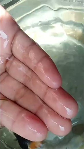 Gold fish 🦈🦈🐟🐟🐠🐠🐠 my First fish 🔥🔥