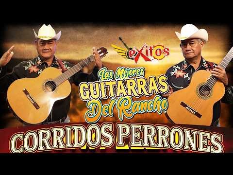 Al Estilo Bertín y Lalo 🎸 | Rancheras y Corridos para el Alma 🌄 | Mix de Guitarrazos 🔥