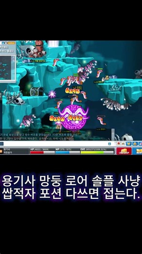 메이플 용기사 망둥이 솔플 로어사냥