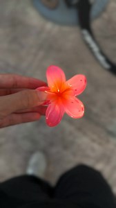 104K views · 3.8K reactions | © (@astrl.m4a) . . . DISCLAIMER: This...