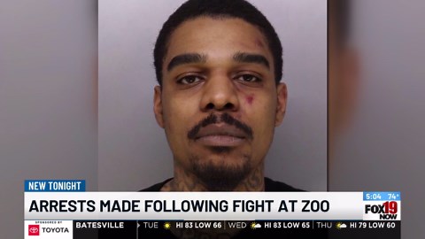 Cincinnati Zoo fight results in 2 men facing assault charges, records show