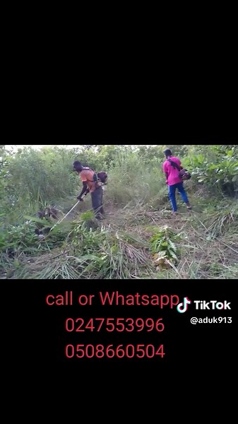 Backpack and Side Pack Weeding Machine for Efficient Gardening