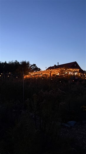 Bar Harbor Dinner plans? @sweetpeascafemaine is the farm-to-table hidden gem you need to know about! 🤭 It is such a magical atmosphere ✨ #barharbor #barharbormaine | Plates of Portland, Maine