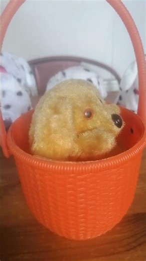 vintage wind up dog in a basket