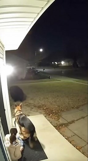 🐻💥 Brave German Shepherd Fights Off a Bear to Save His Owner!