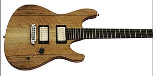 Triad Custom Guitars Introduces the Griffon