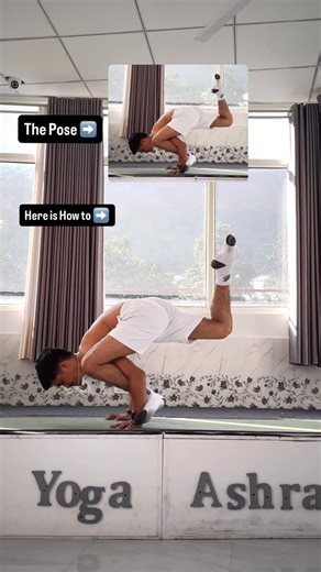 𝐀𝐫𝐯𝐢𝐧𝐝 𝐀.𝐉 | 𝐘𝐎𝐆𝐀 & 𝐌𝐎𝐕𝐄𝐌𝐄𝐍𝐓 on Instagram: "Try this Out!✅ . . YOGA ASANA | YOGA POSTURE | HOW TO DO YOGA POSE | BEGINNER YOGA POSE"