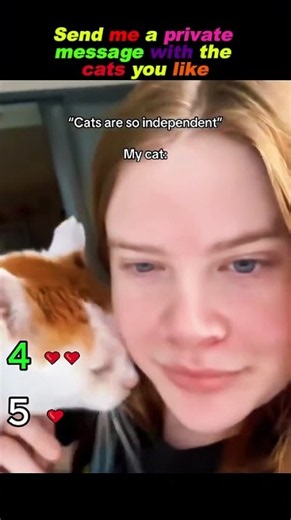 Which cat do you like best? Feel free to message me. #viral #cat #reaction
