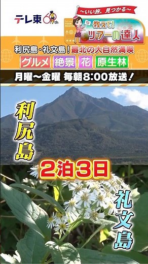 【教えて！ツアーの達人】利尻島・礼文島！最北の大自然を満喫 二つの島に滞在できる初夏の人気ツアーを大特集 #shorts #shortvideo