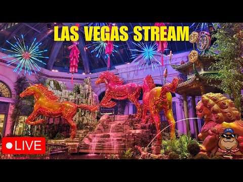 🔴 Live: Wednesday Surprise Stream in Las Vegas! Lunar New Year at Bellagio Conservatory - 02/11/26