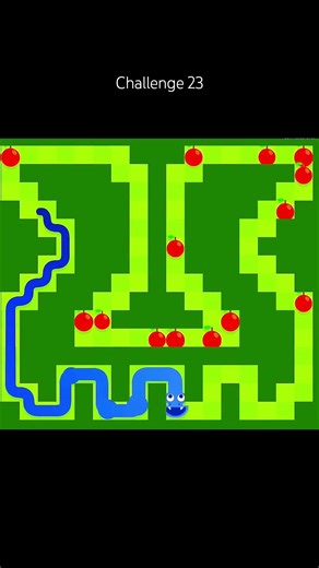Google Snake challenge 23