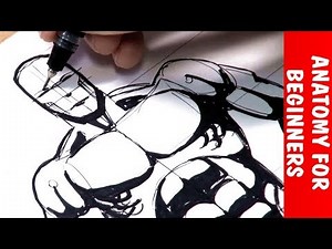 Easy Tutorial: Anatomie Draw Along!