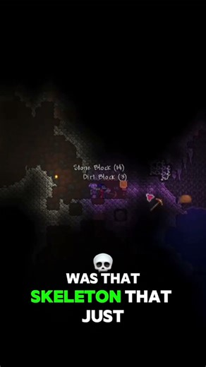 The FUNNIEST Terraria Mod😂