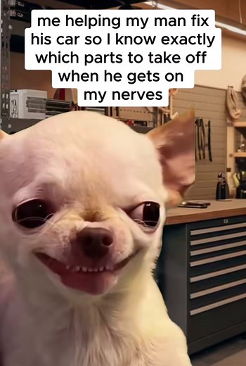 I’ve worked on cars before. I know exactly where to start…Lug Nuts😜😈🤣 | Lei Lani