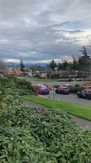 Breaking: More footage coming in from the incident developing at Guide Meridian Road and telegraph Road in Bellingham. State patrol is now on scene alongside Bellingham Police Department. Unconfirmed reader reports say that a cop car may have been hit. Note: information unconfirmed until verified by authorities as this information is developing and relies on reader reports. #police #crash #bellingham #news | Bellingham Metro News