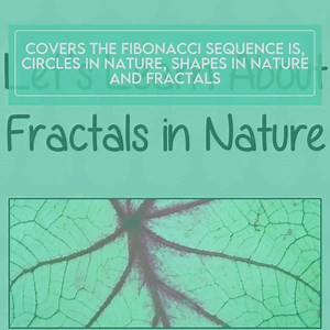 MATHEMATICS in NATURE LESSON Bundle - 4 Complete Lessons on Fractals, Fibonacci Sequences, Circles and Shapes in Nature and Natural Settings - Etsy