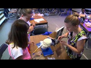 Bones and Behavior: An Introduction to Anthropology