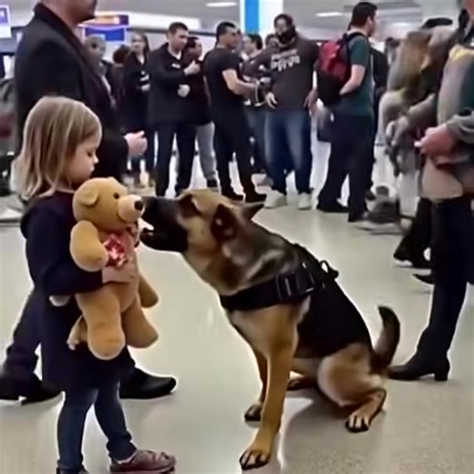 Everyone thought it was a false alarm… until they opened the bear. Watch: VIDEO in the article below | Kids zone