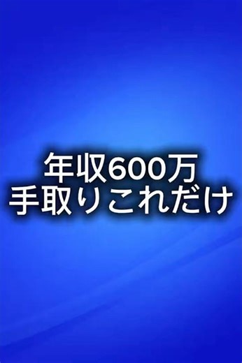 年収600万 手取りこれだけ（思ったより少ない）