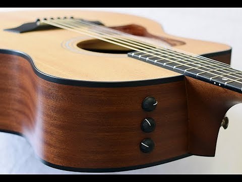 Taylor 114ce Demo And Review