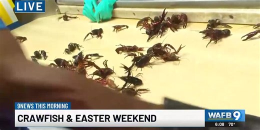 Checking crawfish prices ahead of expected busy Easter weekend