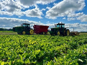 Sugarbeet harvest off to a strong start after solid pre-pile efforts
