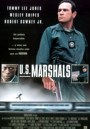 El fugitivo 2: Los federales - película: Ver online