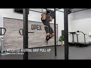 Weighted Neutral Grip Pull-Up