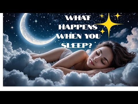 🌙 What Really Happens to Your Body When You Sleep.