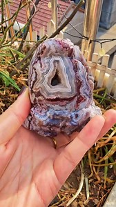 New Mexican crazy lace agate money toad | Appreciation of Rough Crystal