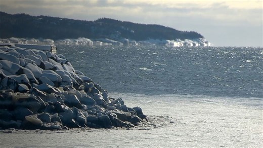 Water temperature in the Gulf of St. Lawrence was the hottest ever recorded in 2024