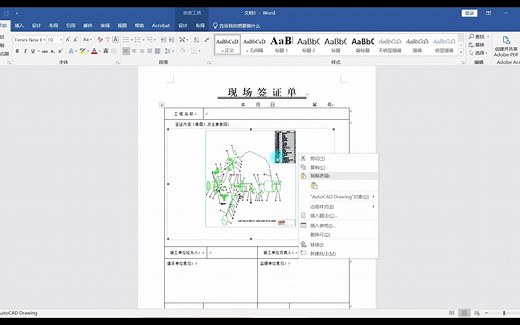 CAD图形怎么插入到Word中！
