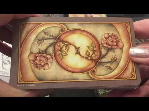 My Top 5 “Most Used” Tarot Decks! -Review Tarot Deck Collection