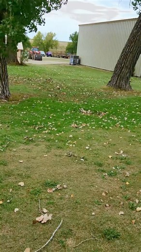 The Unhinged Rancher on Instagram: "Wild turkey motherfu- #UnhingedRancher #RanchLife #Comedy #EatBeef"