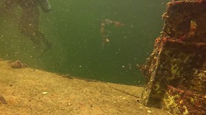 Starting in the 1940s, the first double-hose regulators became commercially available, and revolutionized scuba diving forever. Check out this footage from our last Vintage Dive Weekend, where divers are able to use this historic equipment. Interested in diving with a double-hose regulator? Be sure to grab your tickets for this year's Vintage Dive Weekend on March 8th and 9th before it's too late! https://shop-diving-museum.company.site/products/Vintage-Dive-Weekend-c175889127 #vintage #scuba #h