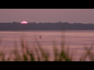 Rolex Perpetual Planet Initiative – Amazon Expedition: From the Andes to the Atlantic