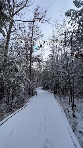 Cozy season is officially activated in the Stevens Point Area ❄️☃️🌨️ #stevenspointarea #wisconsin #snow #snowfall #winter #travel #centralwisconsin #getaway #snowhite | Stevens Point Area Convention & Visitors Bureau