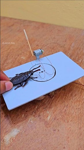 New cockroach trap 🤪 with spinning wheel #experiment #engineering #trap #funny #cockroach